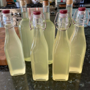 Elderflower Cordial